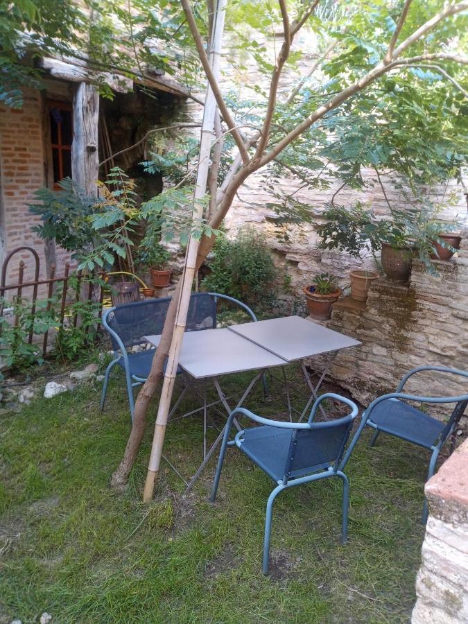 La Lauze Et L'Anguille Bed and Breakfast Gaillac Eksteriør billede