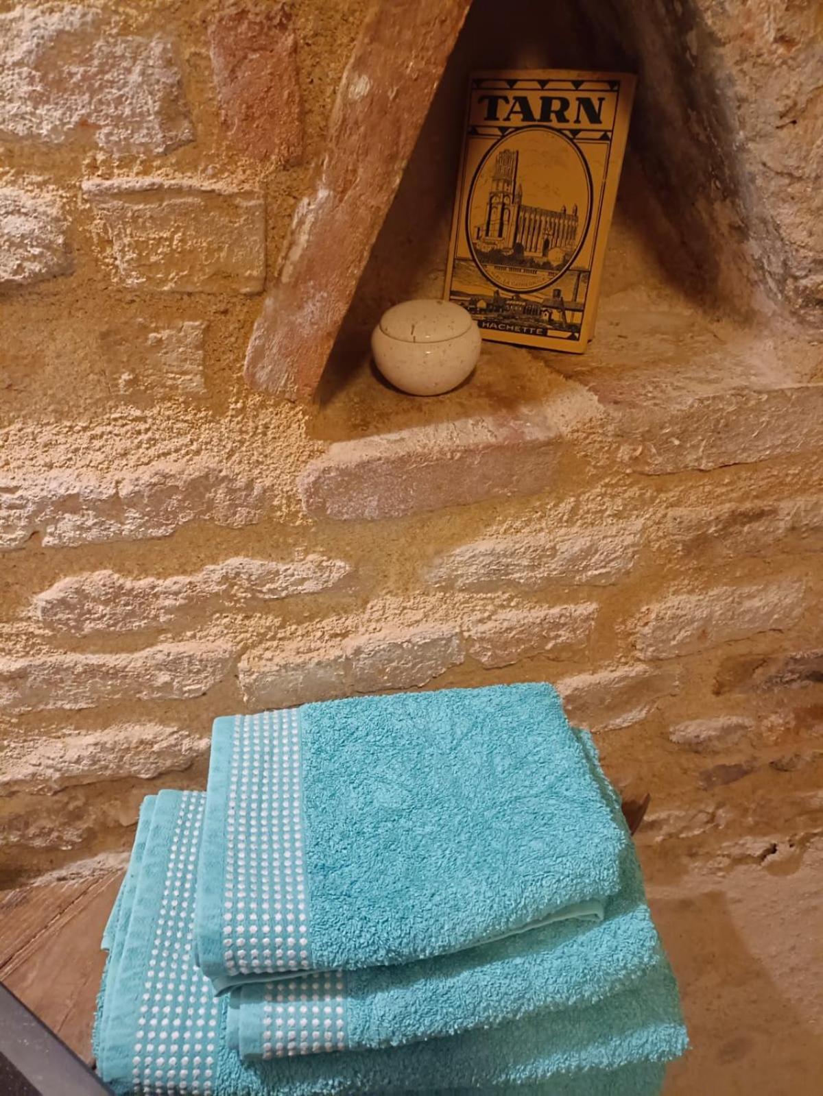 La Lauze Et L'Anguille Bed and Breakfast Gaillac Eksteriør billede